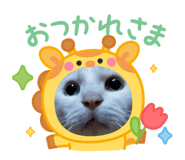 843410580