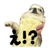 843410698