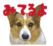 843410704