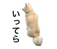 843410731