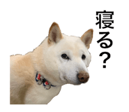 843410736