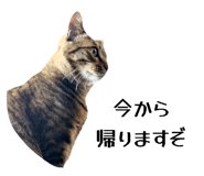 843410826