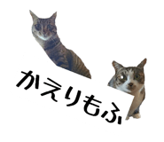 843410827