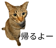 843410828
