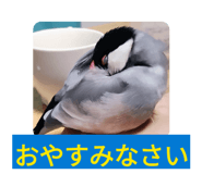 843410856