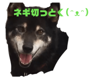 843411019