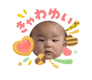 843411081