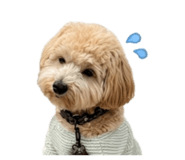 843411189