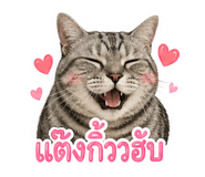 843411914