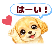843411943