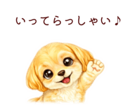 843411946