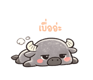 843412243