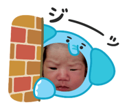 843415155