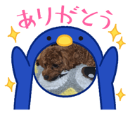 843415194