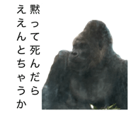 843415243