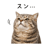 843415307