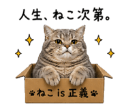 843415310