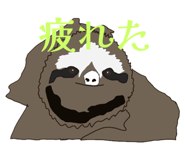 843415499