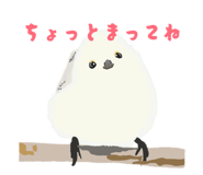 843415504