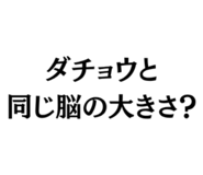 843415564