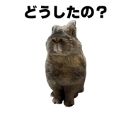 843415737