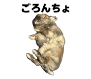 843415744