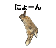 843415750