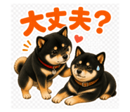 843415900