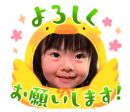 843416713