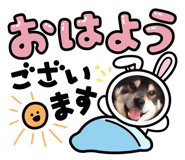 843416781