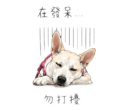 843417320