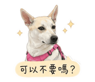 843417326