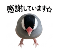 843418583