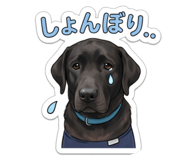 843419250