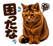 843419387