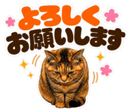 843419390