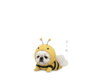 843419564