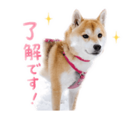 843419841