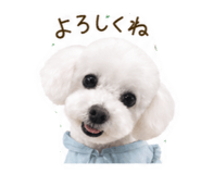 843420115