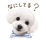 843420119