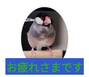 843420369