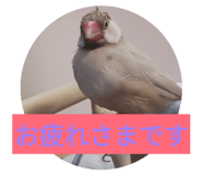 843420370