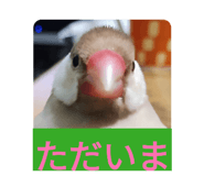 843420375
