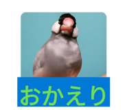 843420376
