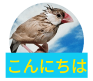 843420382