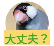 843420390