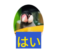 843420394