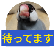 843420396