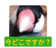 843420397