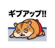 843420453